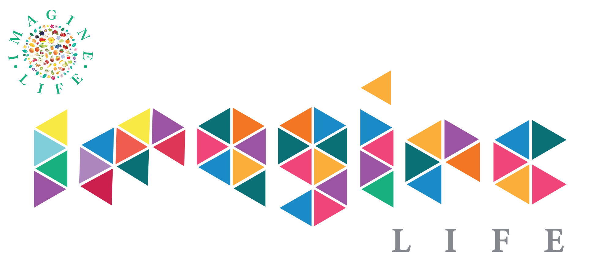 Imagine Life